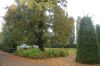 Potsdam-Deutschland-Europa-2015-151008-DSC_0237.jpg
